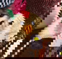 Murrindindi Beanie  Fibre Festival Online - Accommodation Daintree