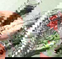 Online live streaming class Make Your Own Terrarium - Accommodation Daintree