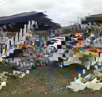 Perthville Village Fair - Accommodation Daintree