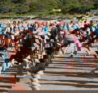 Port Stephens Triathlon Festival - Accommodation Daintree