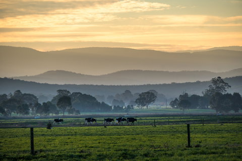 Rotary Club Of Maffra Community Market - Accommodation Daintree 0