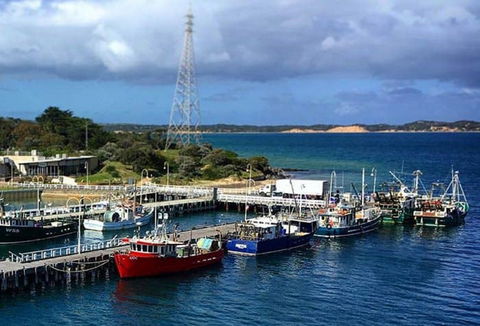 San Remo Fishing Festival - Accommodation Daintree 2