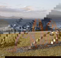 Sculpture Bermagui - Accommodation Daintree
