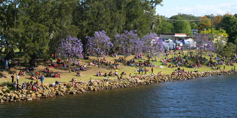 Shoalhaven River Festival - Accommodation Daintree 0