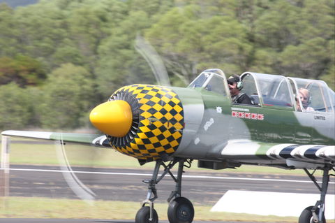 The Great Eastern Fly-In - Accommodation Daintree 2