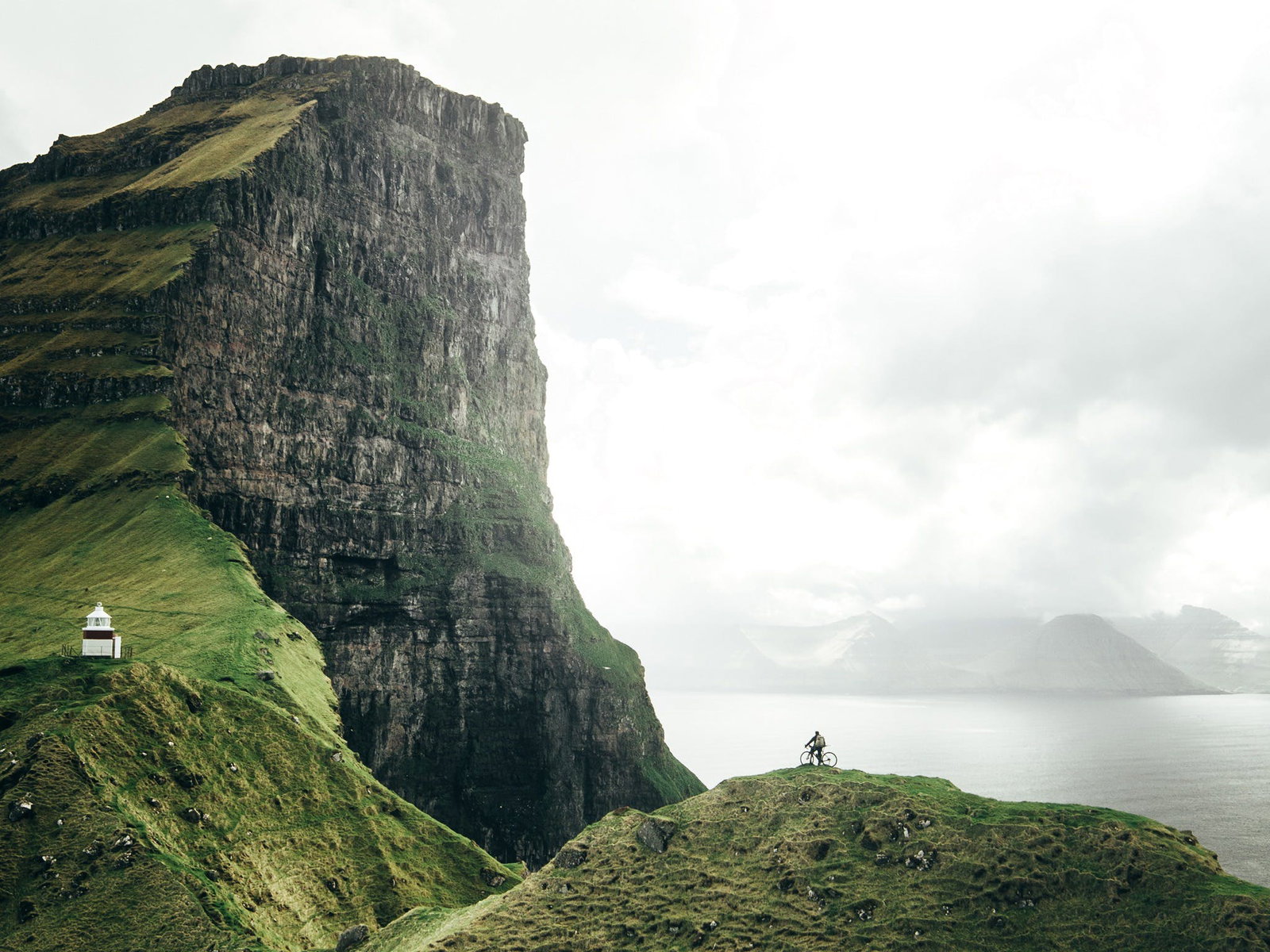 Kotara NSW Accommodation Daintree