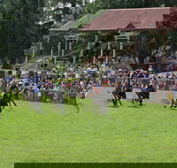 Tumut Boxing Day Races - Accommodation Daintree