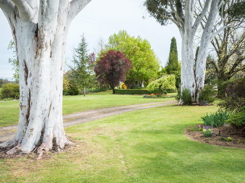 Tumbarumba Spring Flower Festival - Accommodation Daintree 2