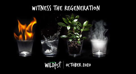 Wildfest - Annual Festival - Accommodation Daintree 0