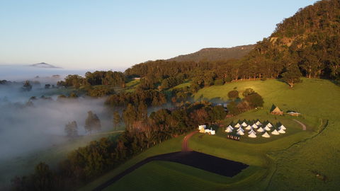 Wildfest - Annual Festival - Accommodation Daintree 1