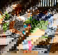 Willie Smith's Artisan and Produce Market - Accommodation Daintree