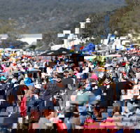 AgQuip - Accommodation Daintree