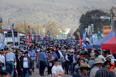 AgQuip - Accommodation Daintree 1