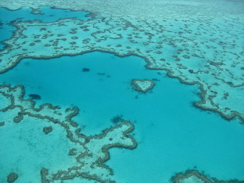 Australian Superyacht Rendezvous 2020 - Great Barrier Reef Edition - Accommodation Daintree 2