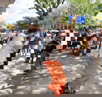 Australian National Busking Championships - Accommodation Daintree
