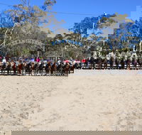 Australian Campdraft Association National Finals Campdraft 2021 - Accommodation Daintree