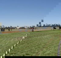 Balranald Races -Derby Day - Accommodation Daintree