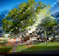 Big Bat Wildlife and Eco Festival - Accommodation Daintree