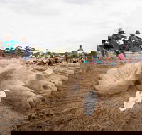 Broulee New Year's Eve Sandcastles and Sculptures - Accommodation Daintree