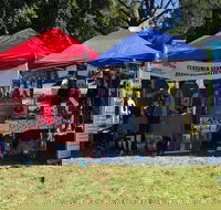 Dogs in the Park Shell Harbour - Accommodation Daintree