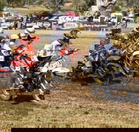 Dust Hustle Queensland Moto Park - Accommodation Daintree