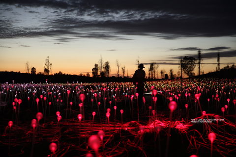 Field Of Light Uluru - Accommodation Daintree 0