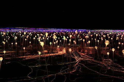 Field Of Light Uluru - Accommodation Daintree 1