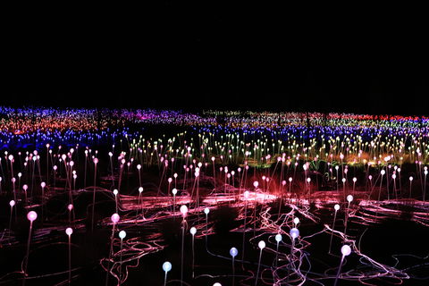 Field Of Light Uluru - Accommodation Daintree 2