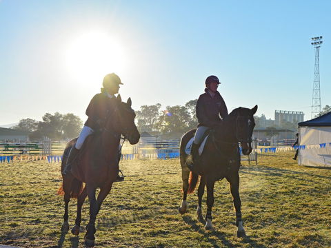 Gunnedah Showjumping Festival - Accommodation Daintree 0