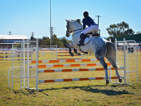 Gunnedah Showjumping Festival - Accommodation Daintree 1