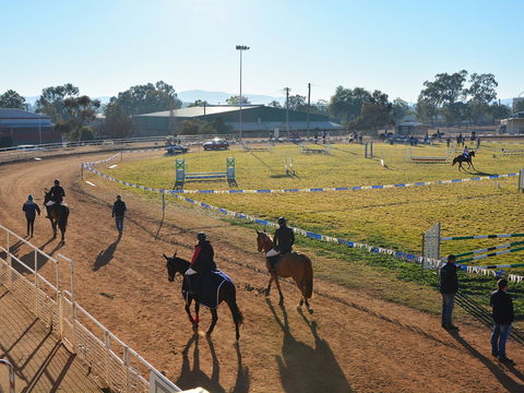 Gunnedah Showjumping Festival - Accommodation Daintree 2