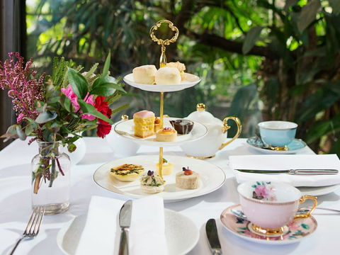 High Tea At Melbourne Zoo - Accommodation Daintree 0
