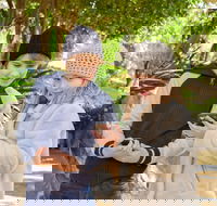 Hunter Valley Gardens Virtual Treasure Trail - Accommodation Daintree