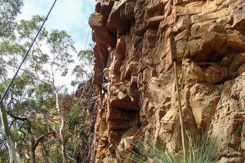 July 2020 Holidays- Explore & Climb - Accommodation Daintree 0