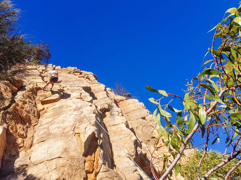 July 2020 Holidays- Explore & Climb - Accommodation Daintree 1