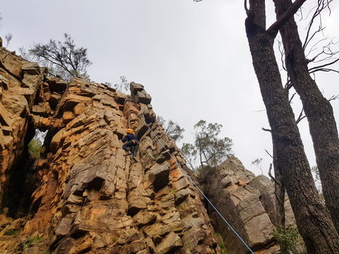 July 2020 Holidays- Explore & Climb - Accommodation Daintree 2