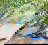Jungle Love Festival - Accommodation Daintree