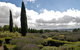 Lavender Herb And Chilli Festival - thumb 1