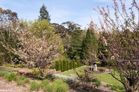 Leura Gardens Festival - Cancelled - Accommodation Daintree 2