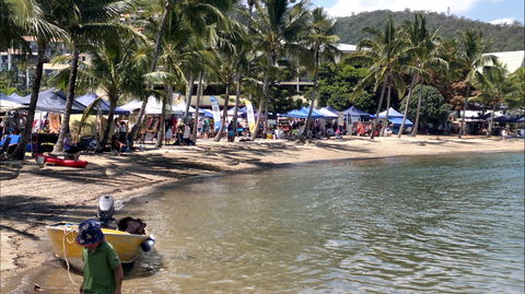 Lions Airlie Beach Community Markets - Accommodation Daintree 0