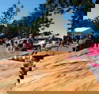 Maleny Wood Expo From Seed to Fine Furniture - Accommodation Daintree