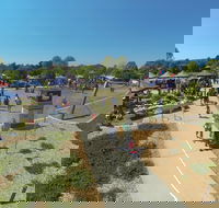 Moruya Country Market - Accommodation Daintree