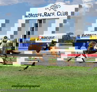 Moree Race Club TAB Race Day - Accommodation Daintree