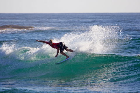 Mothernest Great Lakes Pro - Accommodation Daintree 2