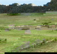 Mount Gambier and District Pony Club Horse Trials 2020 - Accommodation Daintree