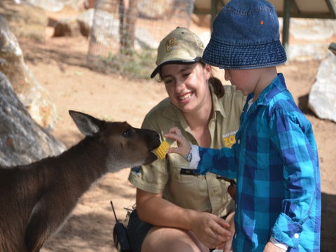 Mums And Cubs! And Dads Too! - Accommodation Daintree 0