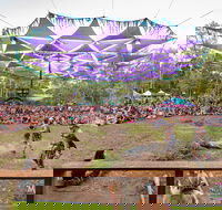 Mushroom Valley Festival - Accommodation Daintree