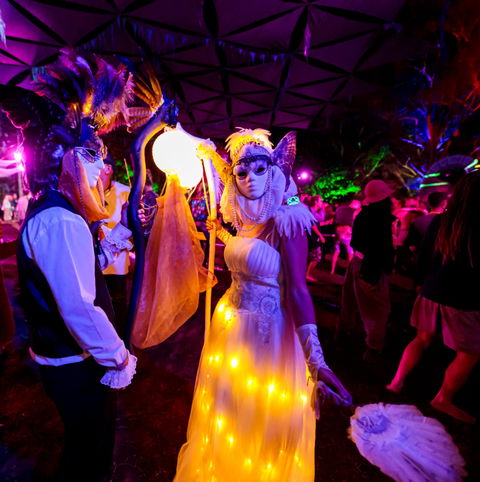 Mushroom Valley Festival - Accommodation Daintree 1