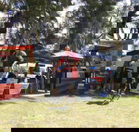 Narrabeen Lakes Festival - Accommodation Daintree