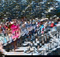 Port Broughton Annual Rubber Duck Race - Accommodation Daintree